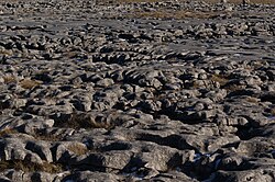 Detail of the large limestone pavement in the Yorkshire Dales between Ingleborough and Pen-y-ghent.