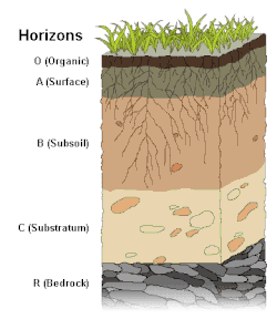 Diagram of soil horizons