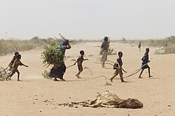 Between 50,000 and 100,000 people died during the 2011 East Africa drought.[166]