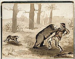 19th-century depiction of a grizzly bear attack
