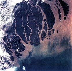 The Ganges Delta in India and Bangladesh is the largest delta in the world, and one of the most fertile regions in the world.