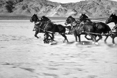 Yakima in John Ford's Stagecoach doing the "drop" part of his most famous stunt