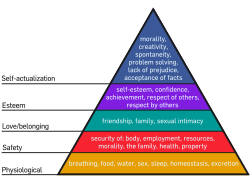 Psychologist Abraham Maslow in 1943 posited that humans have a hierarchy of needs, and that fulfilling basic needs ordinarily should precede the fulfillment of higher-order needs.[124]