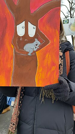 A koala on a tree during a bushfire as depicted on a sign at a climate strike in Jena, Germany.