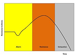 A diagram of the general adaptation syndrome model
