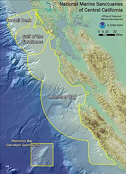 Diagram illustrating the orientation of the 3 marine sanctuaries of Central California: Cordell Bank, Gulf of the Farallones, and Monterey Bay. Davidson Seamount, part of the Monterey Bay sanctuary, at bottom-left.