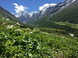 The Valley of Flowers in Uttarakhand, India