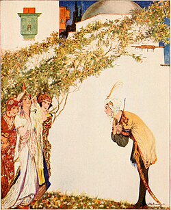 An illustration of the story of Prince Ahmed and the Fairy Paribanou, More tales from the Arabian nights by Willy Pogany (1915)