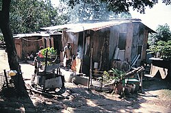 Squatters from the Highlands living at Six-Mile Rubbish Tip in Port Moresby
