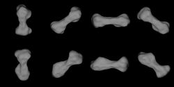 Computer model of asteroid (216) Kleopatra, based on radar analysis.