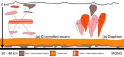 Schematic diagram illustrating the ascent and emplacement of magmas