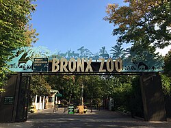 The Bronx Zoo is the largest zoo in New York City, and among the largest in the country.
