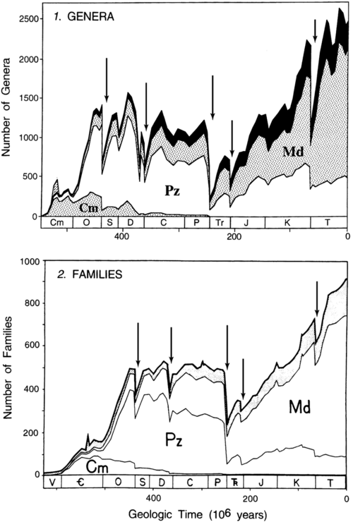 Changes in diversity among genera and families, according to Sepkoski (1997). The "Big Five" mass extinctions are labelled with arrows, and taxa are segregated into Cambrian- (Cm), Paleozoic- (Pz), and Modern- (Md) type faunas.