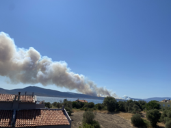 Wildfires in Urla, İzmir in August