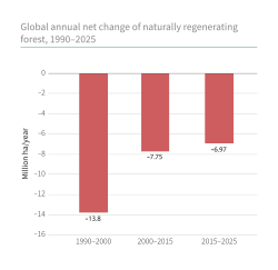 Global annual net change of naturally regenerating forest, 1990–2025