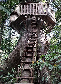 A stairway and roundwalk