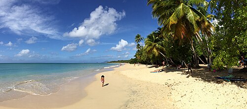 Salines Beach, St Anne peninsula