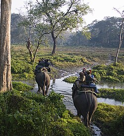 The Jaldapara National Park in West Bengal, India, is a Habitat Management Area (Category IV).[45]