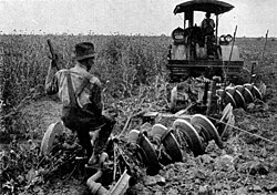Early 20th-century image of a tractor ploughing an alfalfa field