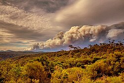 Gospers Mountain bushfire in December 2019