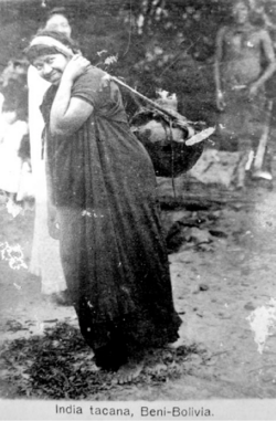 Indigenous Tacana woman carrying a weight load on her back. Beni, Bolivia