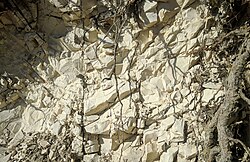 This limestone deposit in the karst of Dinaric Alps near Sinj, Croatia, was formed in the Eocene.