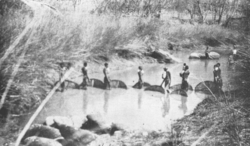 Batonga fisherwomen in Southern Zambia.
