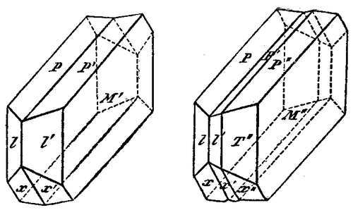 Diagram of twinned crystals of albite. On the more perfect cleavage, which is parallel to the basal plane (P), is a system of fine striations, parallel to the second cleavage (M).