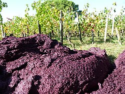 Wineries that wish to cultivate an "in-house" ambient yeast strain will often recycle the leftover pomace of previous vintages as compost in the vineyard.