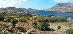 Killary Harbour, western Ireland