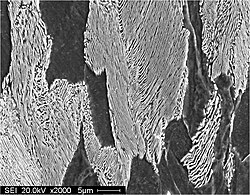 Microstructure of pearlite