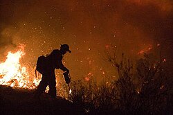 Northern California fire crews start a backfire to stop the Poomacha fire from advancing westward.[30]