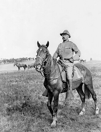 Theodore Roosevelt