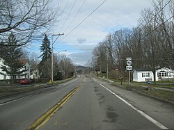 NY 96B (signed with NY 96 Truck) head northbound through Candor