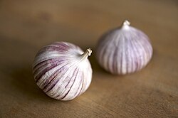 Garlic grown without the process of vernalization