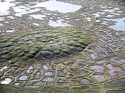 Pingo formed in arctic tundra as a result of periodically spaced ice lens formation.
