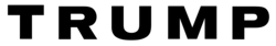The initial campaign wordmark was featured extensively in campaign merchandise.
