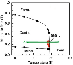 A phase diagram showing different magnetic structures in the same crystal structure of manganese monosilicide