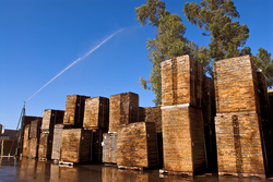 Oak seasoning at the Tonelería Nacional wood yard
