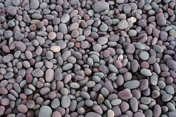 Pebbles on a shingle beach in Somerset, England