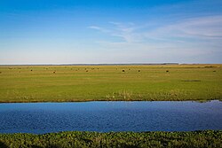 The Pampas are a huge area of fertile grasslands in the southeastern area of South America, bordering the Atlantic Ocean.