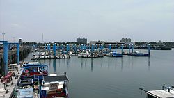Hsinchu Fish Harbor