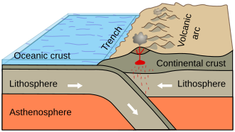 Subduction of an oceanic plate beneath a continental plate to form an accretionary orogen (example: the Andes)