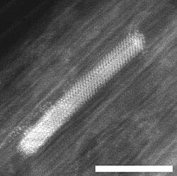 Electron micrograph of a Ni nanocrystal inside a single wall carbon nanotube; scale bar 5 nm[19]