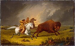 Assiniboine Hunting Buffalo, 1851