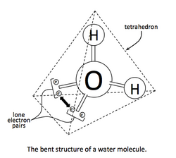 Tetrahedral structure of water