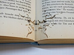 Traces of a bookworm in a book