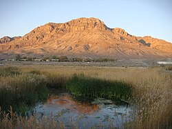 Wetlands contrast the hot, arid landscape around Middle Spring, Fish Springs National Wildlife Refuge, Utah.
