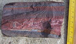 A piece of a banded iron formation, a type of rock that consists of alternating layers with iron(III) oxide (red) and iron(II) oxide (grey). BIFs were mostly formed during the Precambrian, when the atmosphere was not yet rich in oxygen. Moodies Group, Barberton Greenstone Belt, South Africa