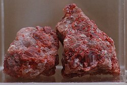 Sylvite from New Mexico